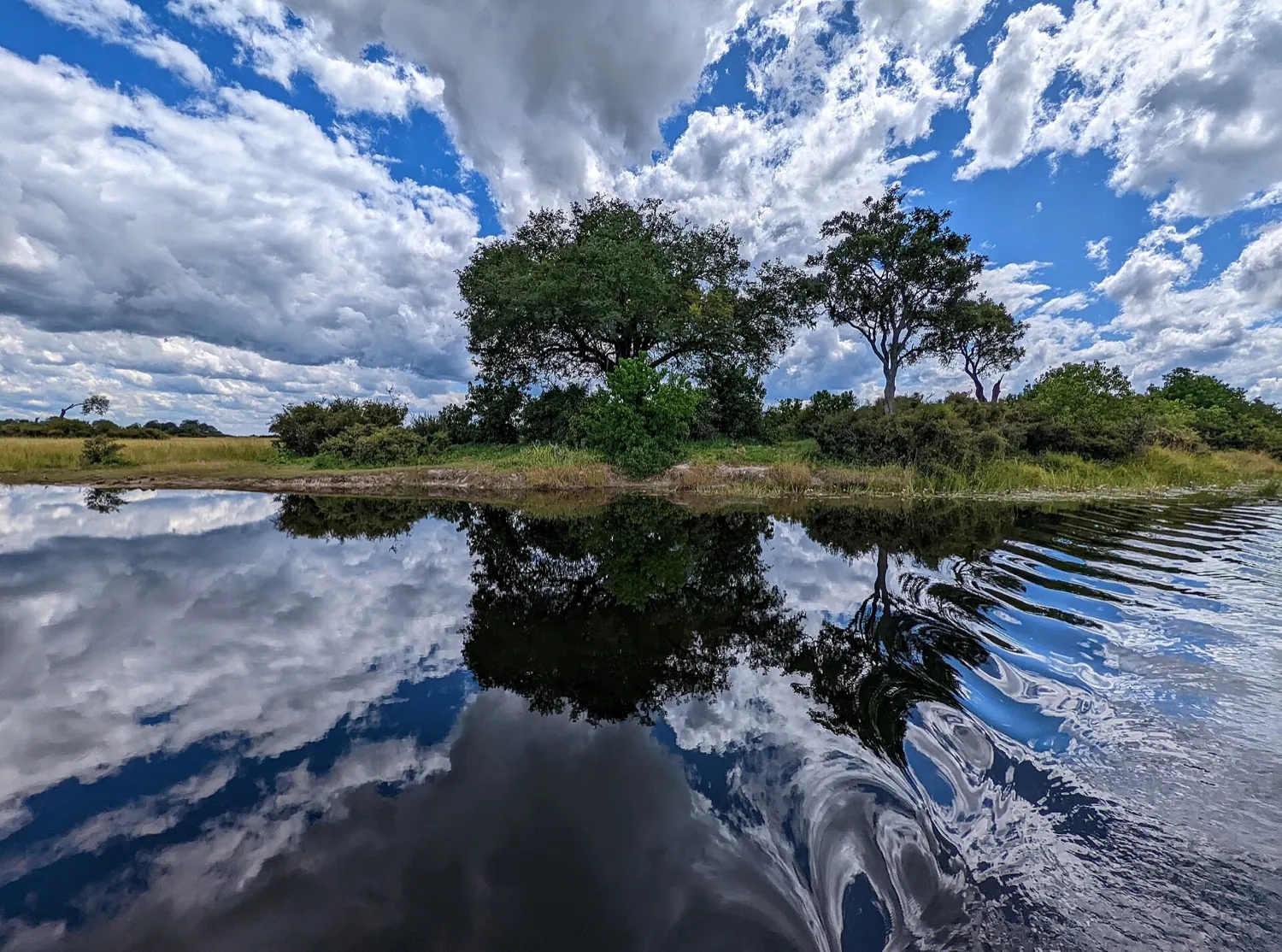 Linyanti, Botswana