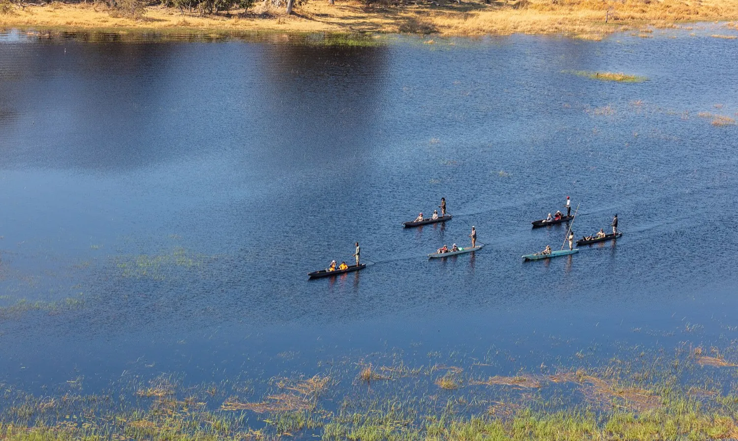 Khwai short safari in 4 days (3 nights)