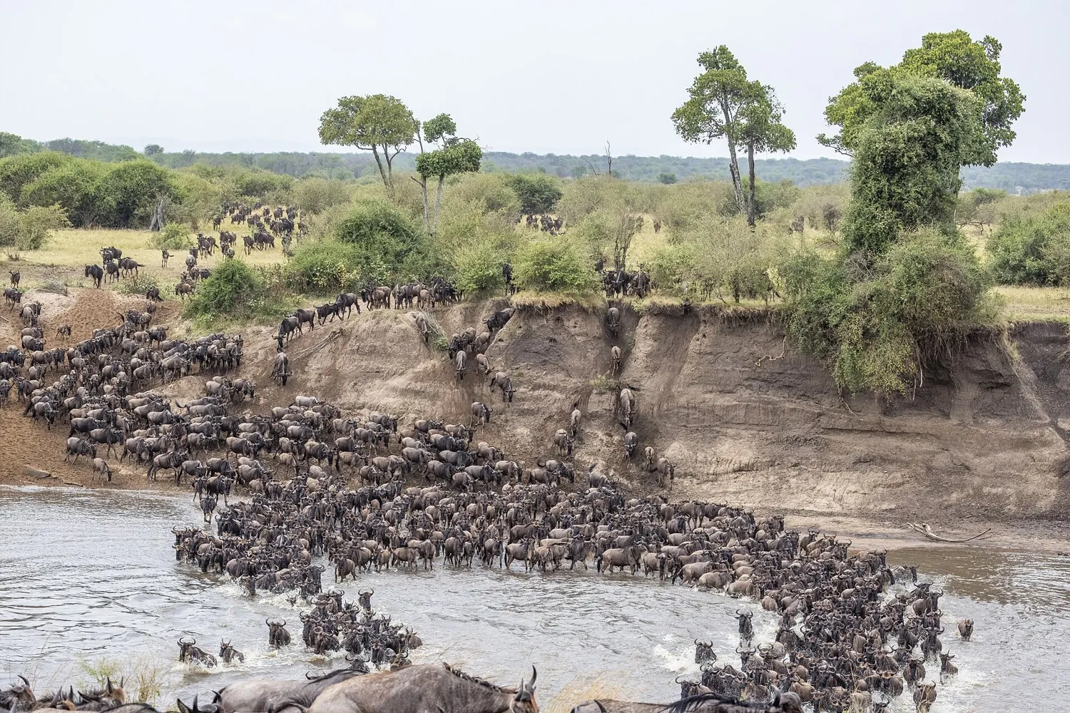 Masai Mara short break in 4 days (3 nights)
