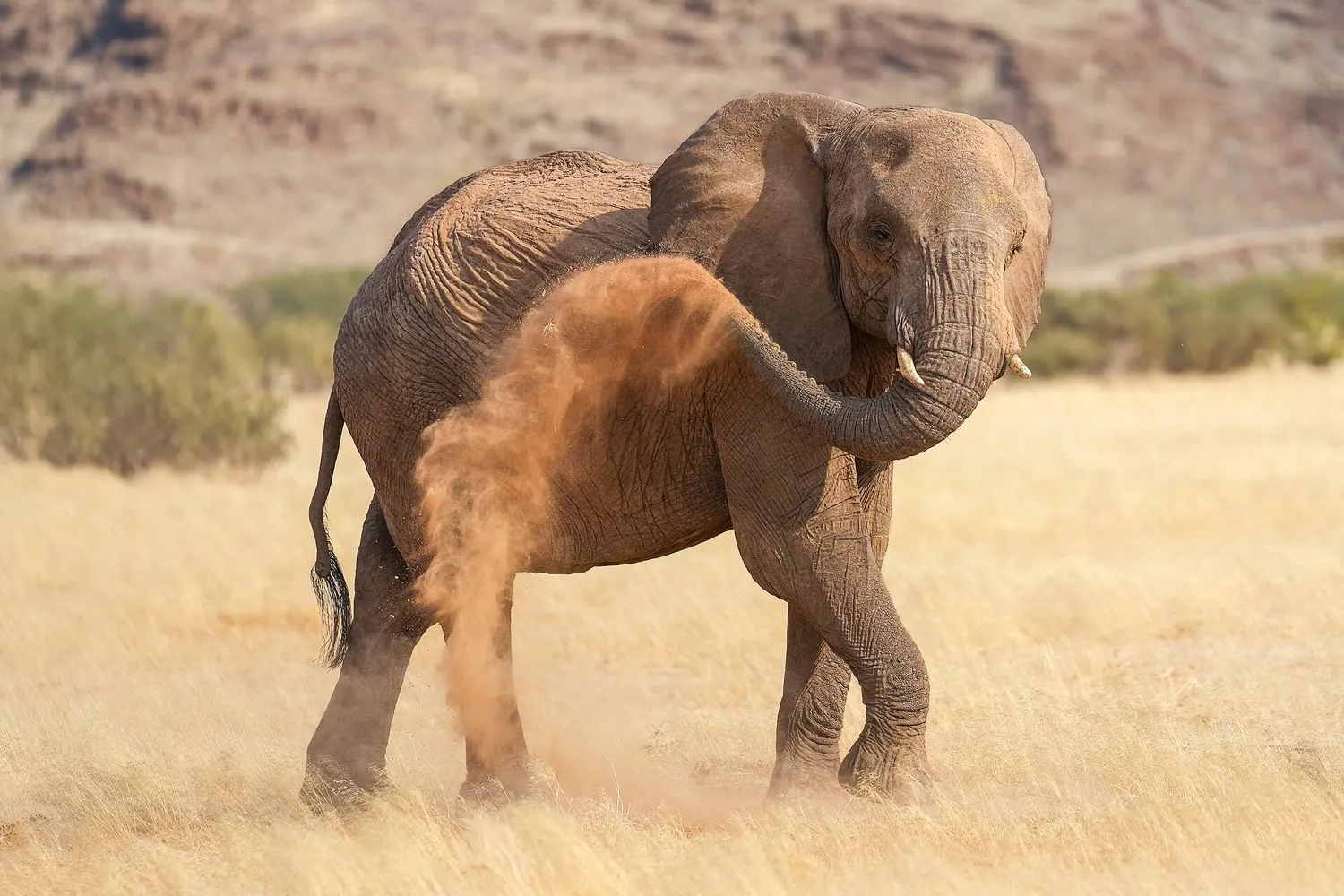 Damaraland, Namibia