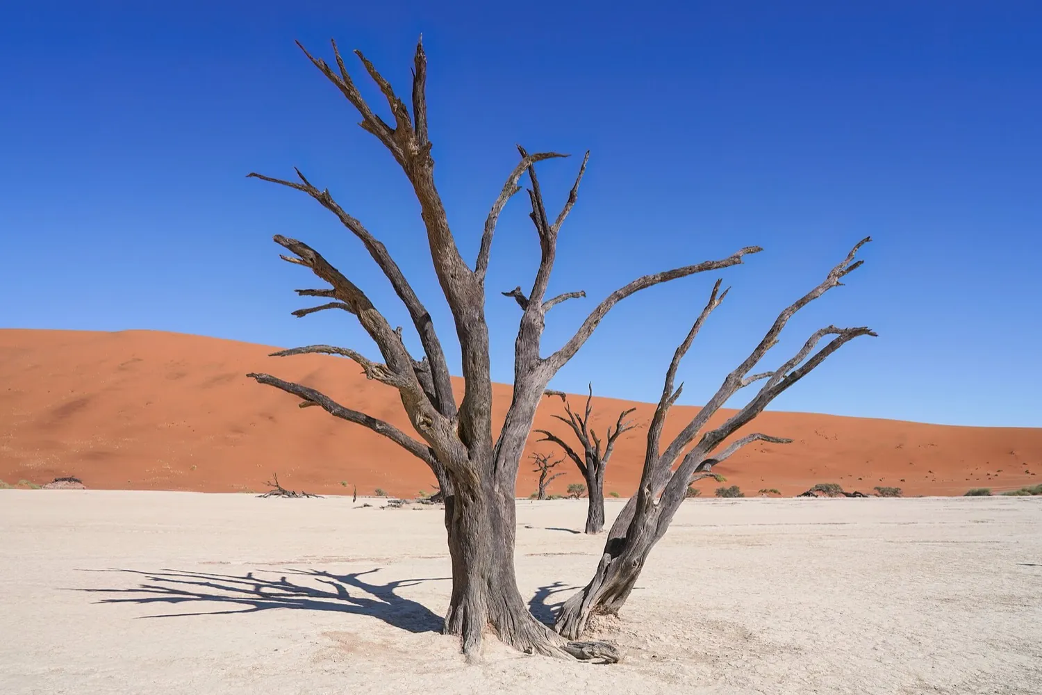 Sossusvlei dunes and Swakopmund coast in 5 days (4 nights)