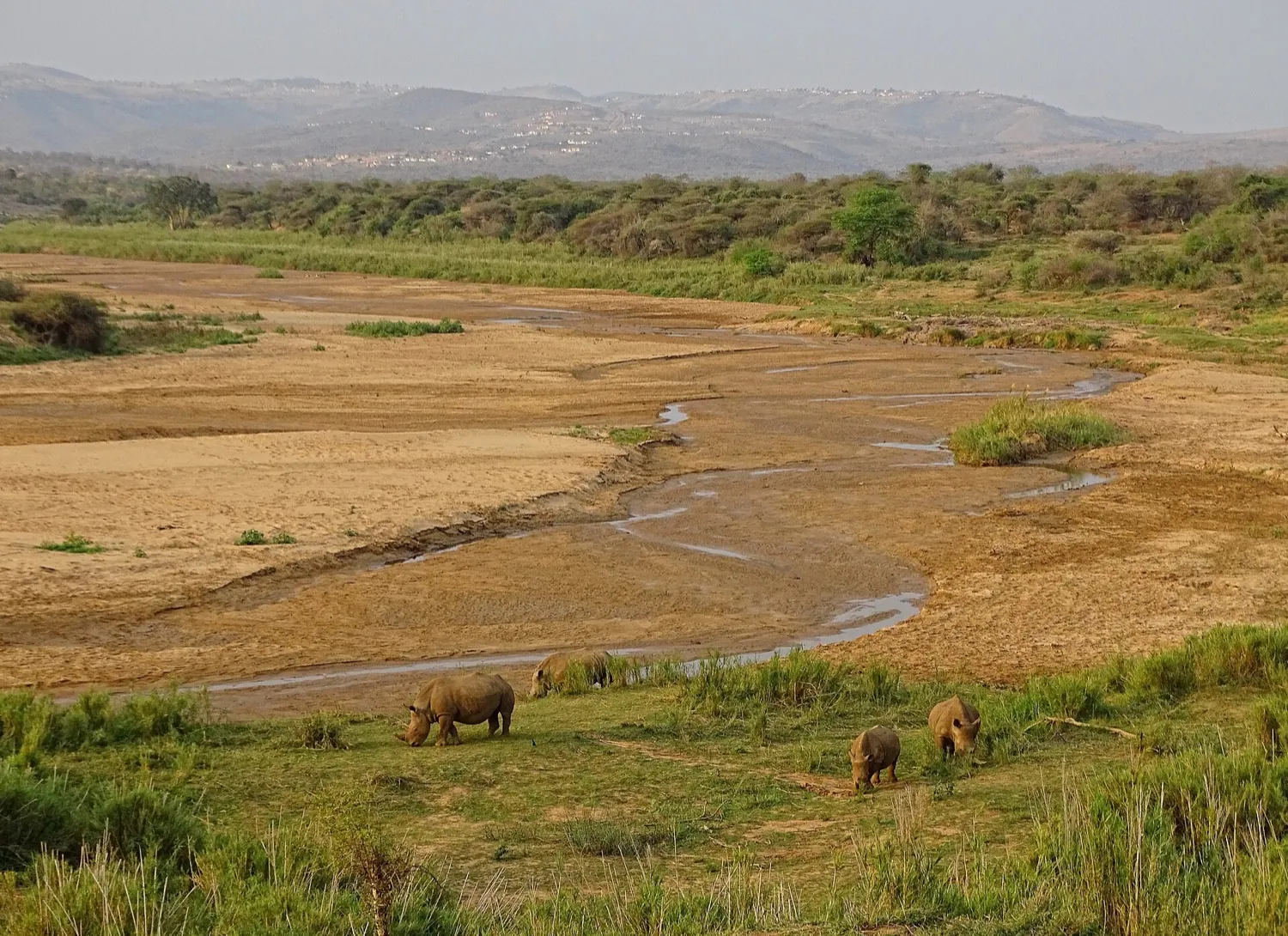 Kwazulu Natal