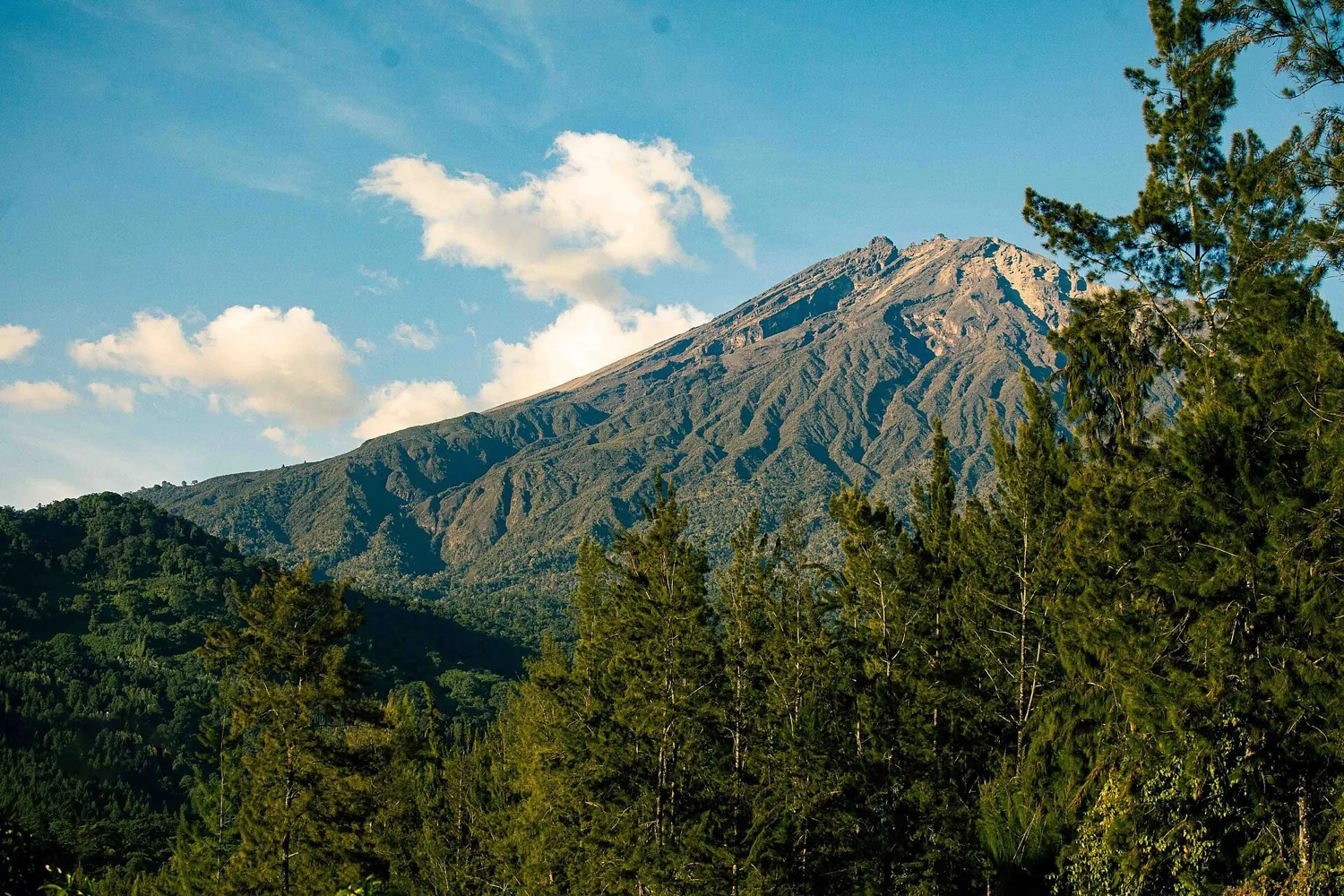 Arusha