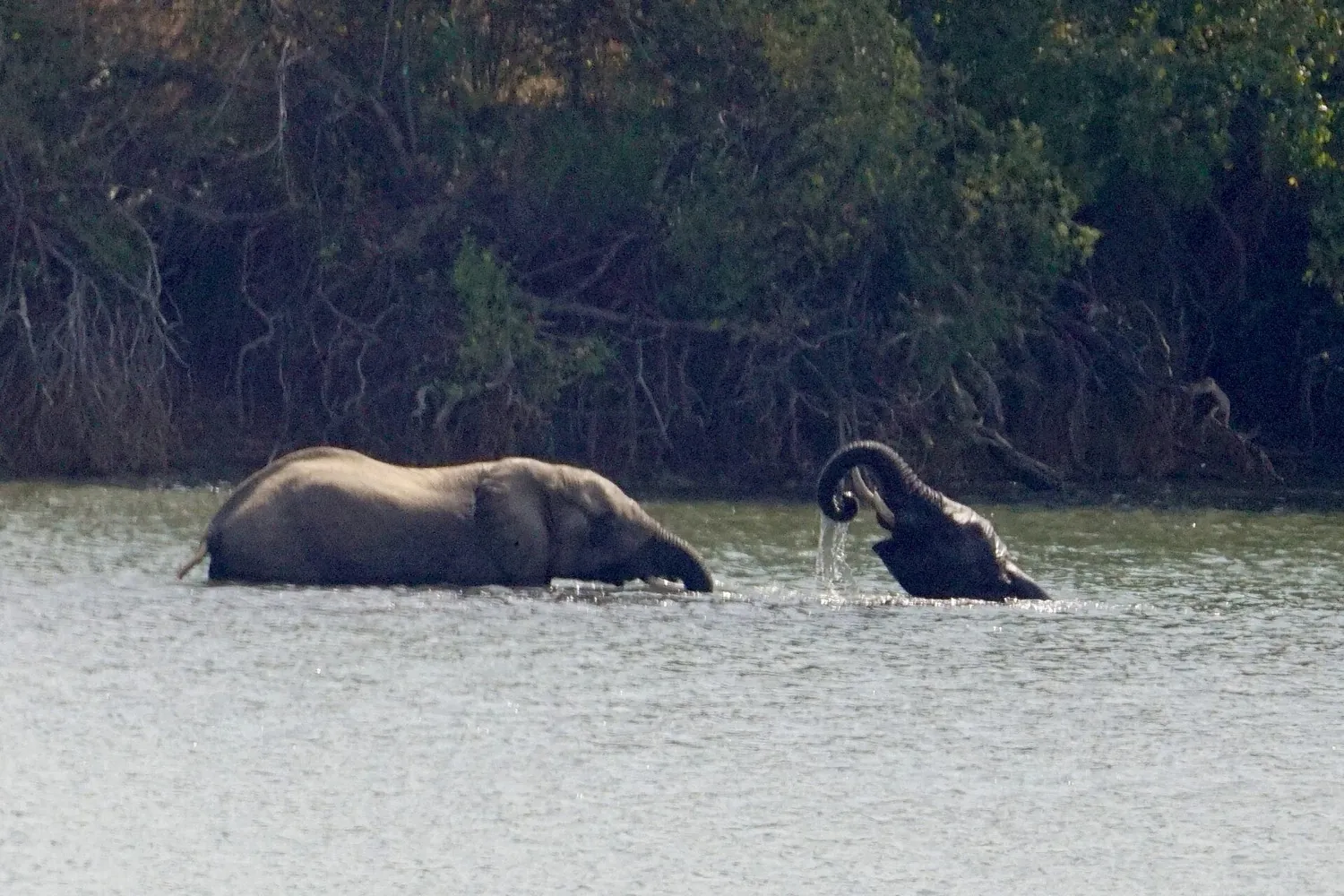 Kafue National Park by road in 4 days (3 nights)