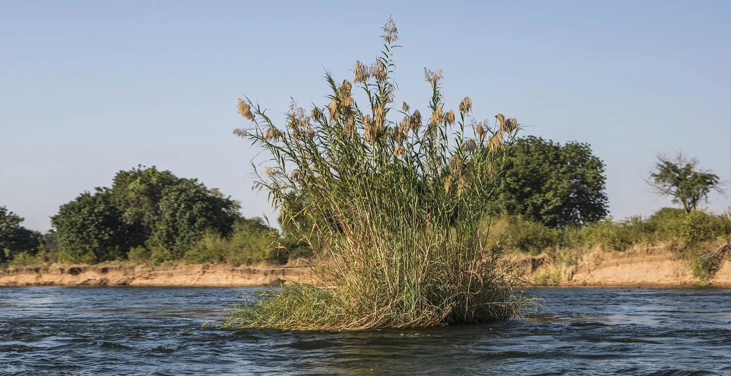 Victoria Falls and the Lower Zambezi in 6 days (5 nights)