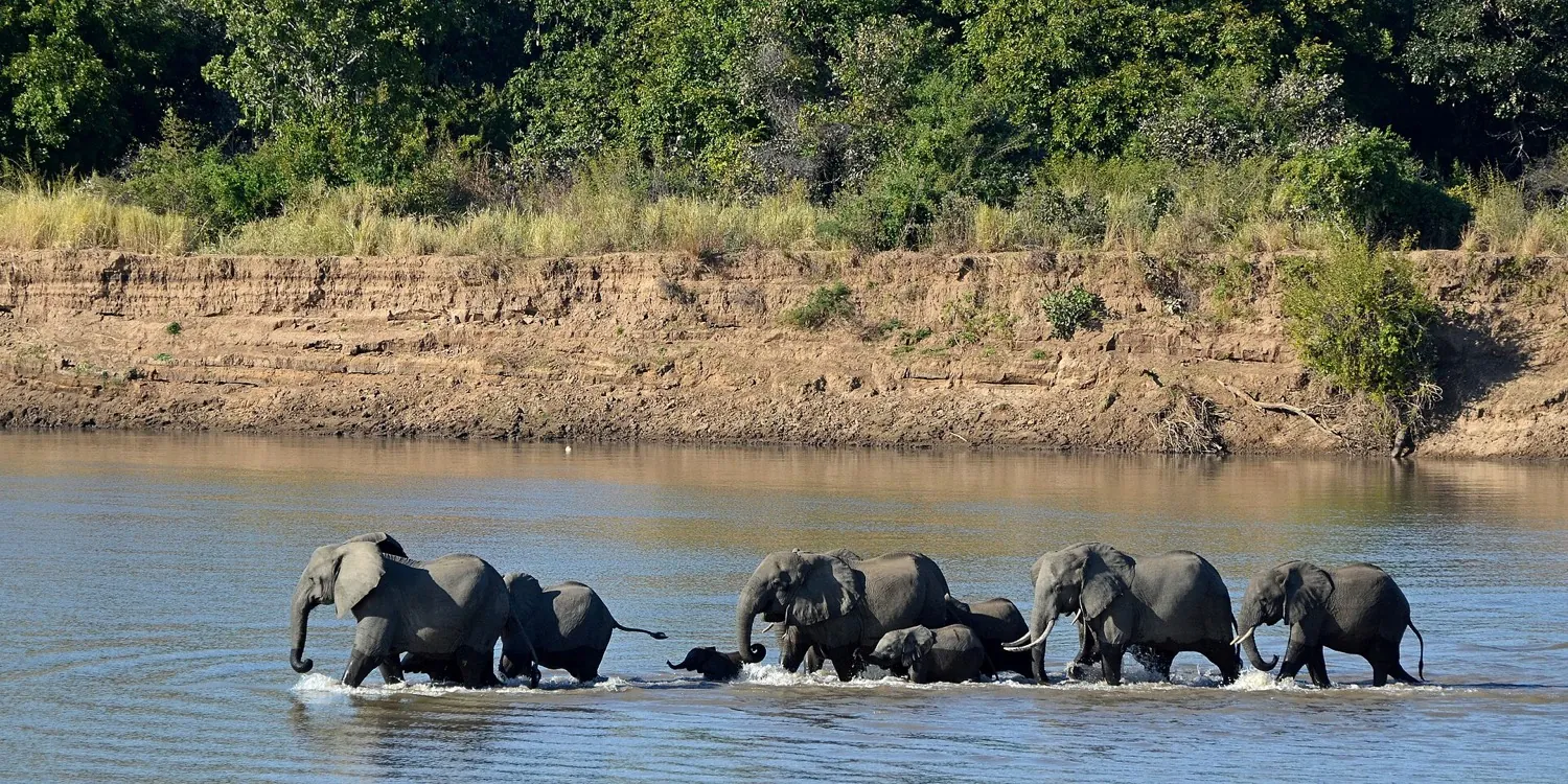 South Luangwa safari in 4 days (3 nights)