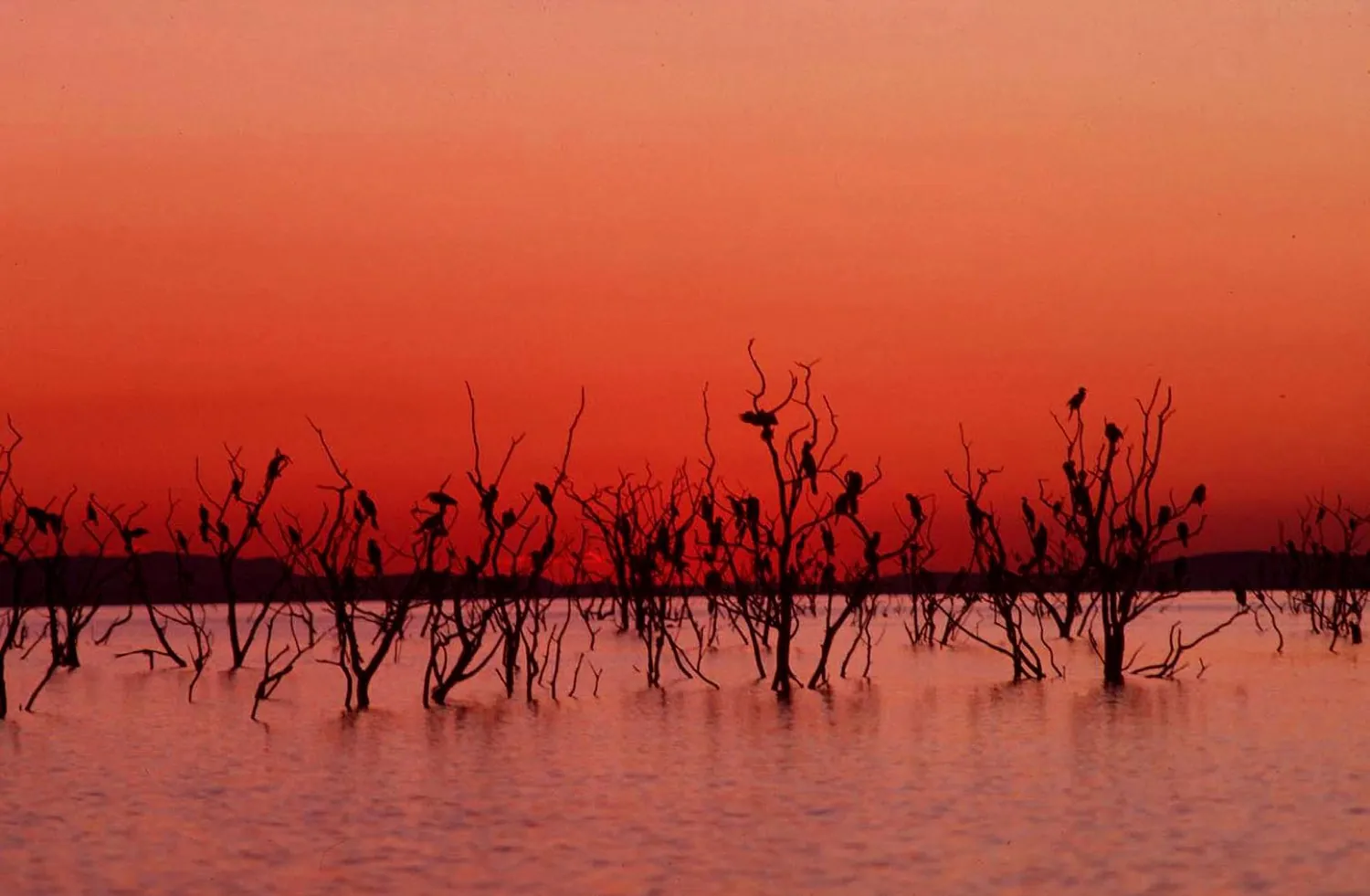 Kariba, Zimbabwe